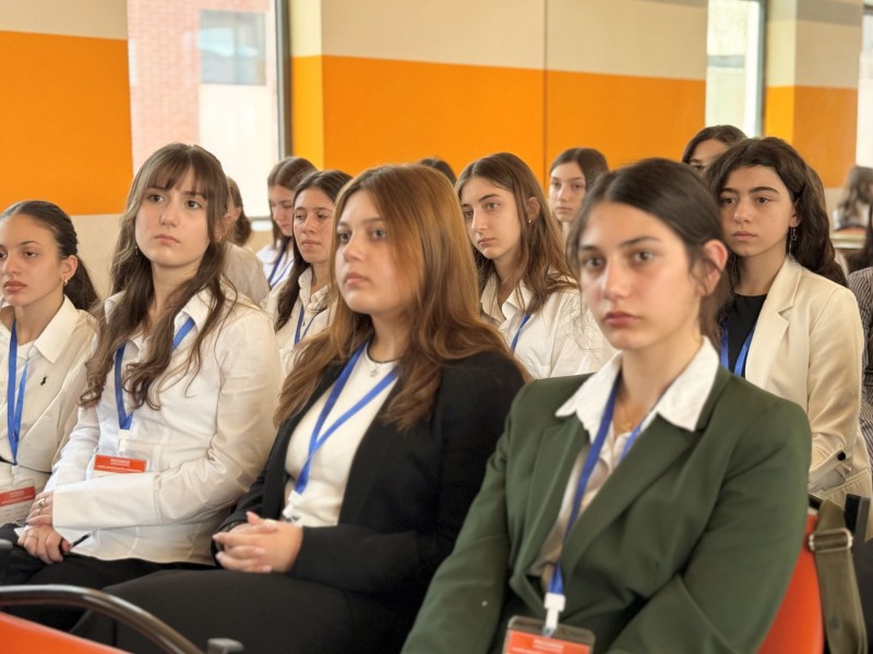 გაეროს მოდელირებული კონფერენცია პროგრესში
